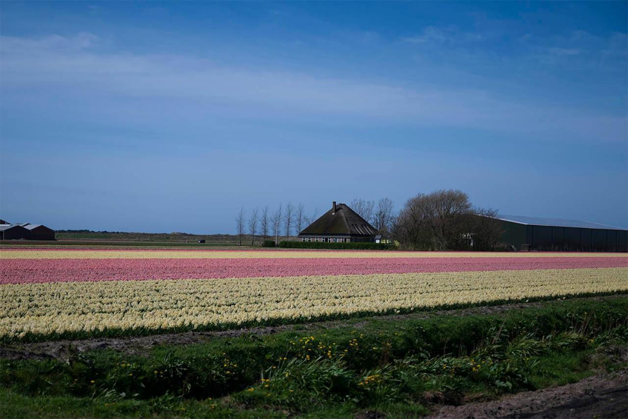 Bloem & Bed Bed and Breakfast 't Zand Eksteriør billede