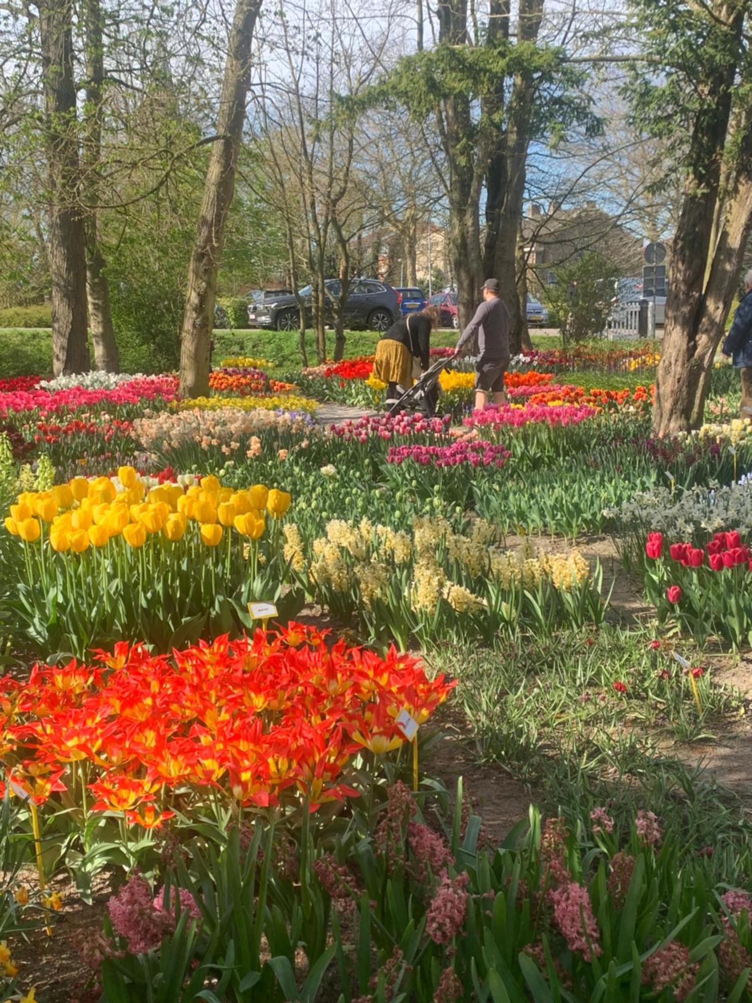 Bloem & Bed Bed and Breakfast 't Zand Eksteriør billede